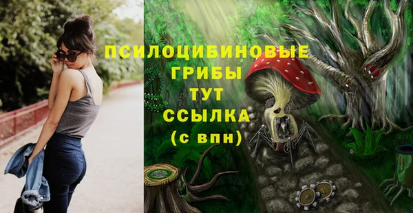 ECSTASY Михайловск