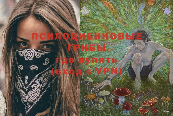 метадон Алексеевка